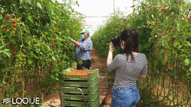 Looije, nominada a ‘Mejor empresa online’ del sector hortofrutícola por la revista Fruit Today